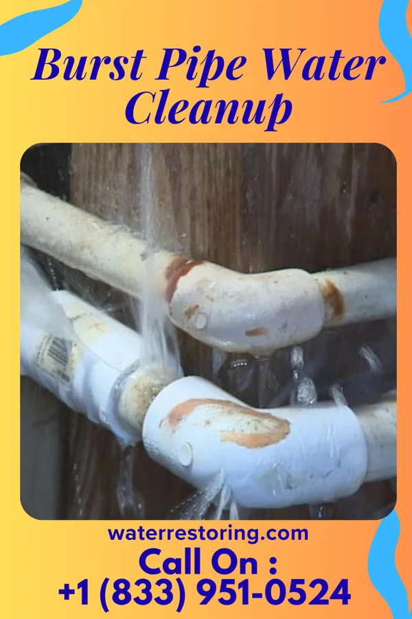 Burst Pipe Water Cleanup in Meriden, IA